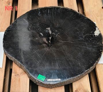 Versteend houten tafelblad/salontafel  beschikbaar voor biedingen