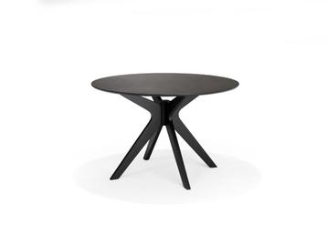 Eettafel Julio rond zwart gelakt eiken 120cm | Webshop beschikbaar voor biedingen