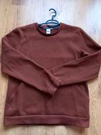 Bruine dames trui, Kleding | Dames, Bruin, Maat 42/44 (L), Ophalen of Verzenden, Zo goed als nieuw