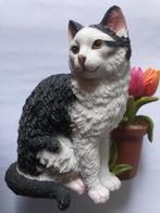 beeld kat Zipper, Verzenden, Zo goed als nieuw, Dier