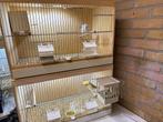 2 mooie broed/kweekkooien, Dieren en Toebehoren, Vogels | Hokken en Kooien, Ophalen, Gebruikt, Hout, Broedkooi of Kweekkooi