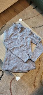 Grijs fleece jack / vest van C&A (Tecwear), maat S, Ophalen of Verzenden, Zo goed als nieuw, Maat 36 (S), Grijs