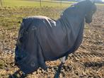 Paardendeken waterproof, Dieren en Toebehoren, Ophalen of Verzenden, Zo goed als nieuw