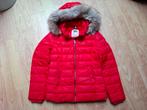 Dames winterjas maat M merk Tommy Jeans, Maat 38/40 (M), Ophalen of Verzenden, Gedragen, Rood