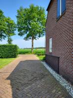 stalen poort, Tuin en Terras, Ophalen, Gebruikt, IJzer, Sierhekwerk