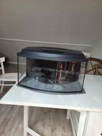Aquarium 60 cm, Dieren en Toebehoren, Ophalen, Zo goed als nieuw, Leeg aquarium