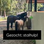 Stalhulp gezocht 18+, Ophalen of Verzenden