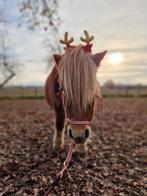 Verzorgpaard en shet, Ophalen of Verzenden