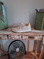 🔺🔻 Dolomite heren wandelschoenen maat 44,5, Ophalen of Verzenden, Zo goed als nieuw, Schoenen