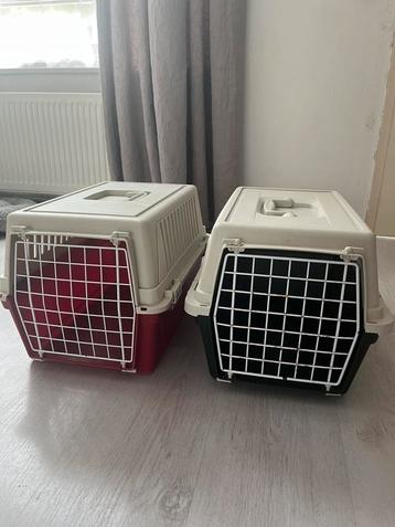 Katten reismanden beschikbaar voor biedingen
