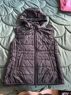 Samshield bodywarmer, Maat 38/40 (M), Zwart, Nieuw, Ophalen of Verzenden