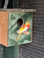 Turqoisine Opaline Dilute Parkieten, Meerdere dieren, Parkiet, Geringd