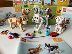 Z.g.a.n. LEGO Creator 3in1 Schattige Honden Set - 31137, Ophalen, Zo goed als nieuw