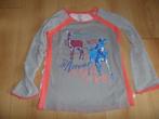 Didi longsleeve maat 128 met grijs/ zilveren mouwen, Kinderen en Baby's, Kinderkleding | Maat 128, Meisje, Ophalen of Verzenden