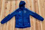 Ajax Sport Training Winterjas Adidas - Blauw / Wit - Small, Kleding | Heren, Blauw, Ophalen of Verzenden, Zo goed als nieuw, Adidas