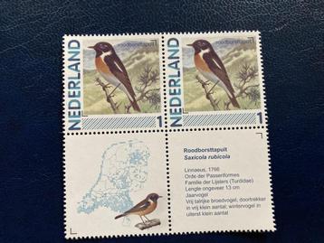 Persoonlijke vogels Roodborsttapuit paartje met middenstuk beschikbaar voor biedingen