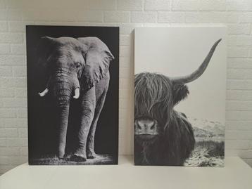 Twee canvas olifant en buffel beschikbaar voor biedingen