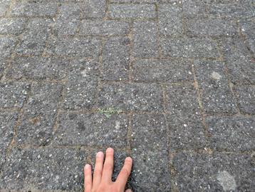 Paving slabs (45m2) beschikbaar voor biedingen