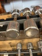 2 x 9 kg chrome technogym dumbells dumbbell set gewichten, Dumbbell, Dumbells, Ophalen of Verzenden, 2 x 9 kg