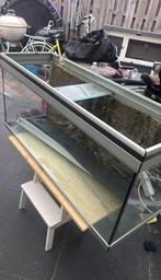 Groot aquarium te koop, Dieren en Toebehoren, Vissen | Aquaria en Toebehoren, Ophalen of Verzenden, Zo goed als nieuw, Leeg aquarium