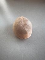Versteende zee egel, antiek, vintage, decoratie, dier,, Verzamelen, Mineralen en Fossielen, Verzenden