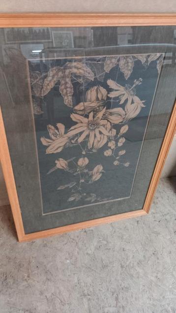 originele grafiek Anton Pieck passiebloemen beschikbaar voor biedingen