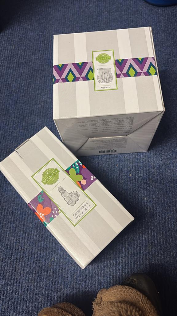 Scentsy Stekker Waxwarmer - Nieuw of Zo goed als nieuw, Ophalen of Verzenden, Zo goed als nieuw, Kunststof, Minder dan 100 cm