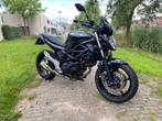 Suzuki SV 650 | Gladius Black Edition, 2 cilinders, Motorrijbewijs A, Particulier, Meer dan 35 kW