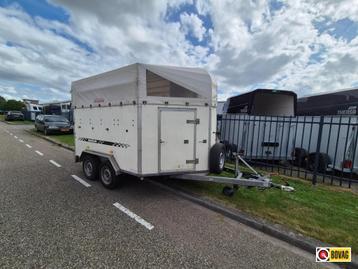 Humbaur 3-paards met zadelkamer beschikbaar voor biedingen