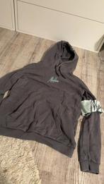 Malelions drui. Donkergrijs met turquoise, Kleding | Heren, Truien en Vesten, Ophalen of Verzenden, Zo goed als nieuw, Grijs