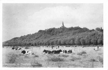 (301-266-005) Eltenberg, elten beschikbaar voor biedingen