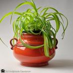 Statige knalrode bloempot vintage West Germany, -, -, Rond, Ophalen of Verzenden