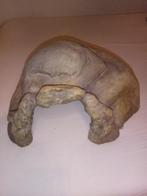 Exo Terra Reptile Cave XX-Large Terrarium Grot, Ophalen, Gebruikt, Overige typen