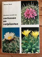 Werner Rauh - Wondere wereld van Cactussen en Vetplanten, Ophalen of Verzenden, Cactus