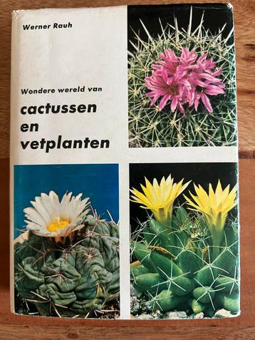 Werner Rauh - Wondere wereld van Cactussen en Vetplanten beschikbaar voor biedingen