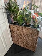 Plantenbak - waterhyacint - 4 potten - voor binnen, Ophalen, Overige materialen, 100 cm of meer, Zo goed als nieuw