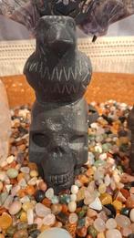 Shungiet Raven op Schedel Beeld, Ophalen of Verzenden