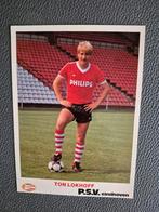Ton Lokhoff - PSV speler fotokaart / seizoen 1983-1984, Ophalen of Verzenden, Gebruikt, PSV, Spelerskaart