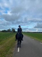 Bijrijd paard gezocht/bijrijder aangeboden, Ophalen of Verzenden, Zo goed als nieuw