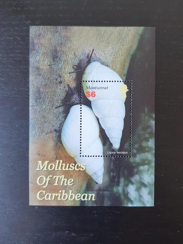 Montserrat 2005 Schelpen Michel blok 106 postfris beschikbaar voor biedingen