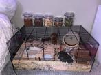 hamster kooi 80x50x35, Hok, 75 tot 110 cm, Ophalen, Minder dan 60 cm