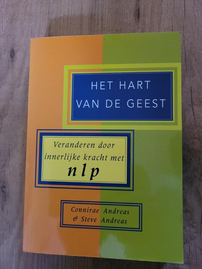 Het Hart van de Geest - Connirae & Steve Andreas, Ophalen of Verzenden, Zo goed als nieuw, Overige onderwerpen, Connirae & Steve Andreas