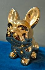 Franse buldog spaarpot, Ophalen of Verzenden, Zo goed als nieuw, Steen, Aardewerk of Keramiek, Dier