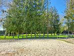Omheining paardenbak, Weidegang