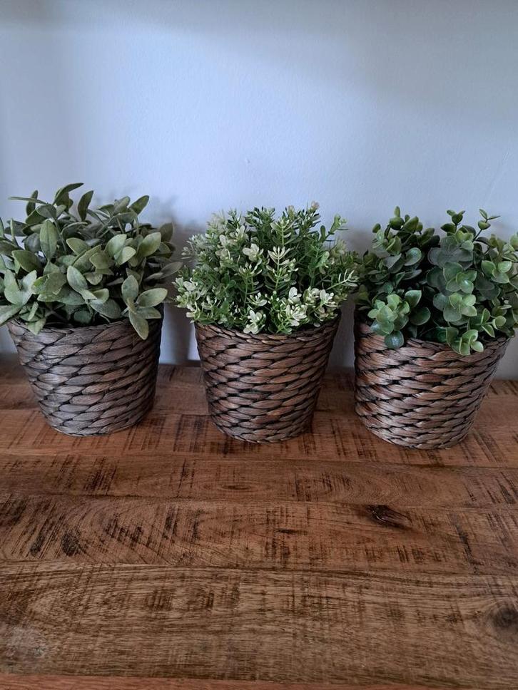Kunstplanten 3x in een Rietenmand Hedra, Huis en Inrichting, Woonaccessoires | Kunstplanten en Kunstbloemen, Zo goed als nieuw