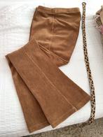 Sissy Boy broek flaired roestbruin mt  L katoen ribcord, Kleding | Dames, Ophalen of Verzenden, Zo goed als nieuw, Maat 38/40 (M)