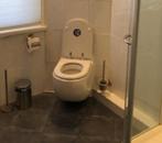 Sanibroyeur toilet, Doe-het-zelf en Verbouw, Sanitair, Steen, Toilet, Gebruikt, Ophalen