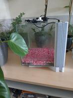 Aqarium, Dieren en Toebehoren, Vissen | Aquaria en Toebehoren, Ophalen