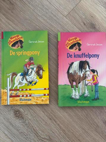 Manege Zonnehoeve - De Springpony & De Knuffelpony beschikbaar voor biedingen