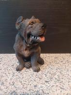 Mastino napolitaan, Ophalen of Verzenden